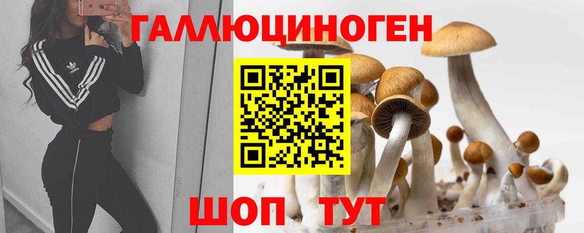 Псилоцибиновые грибы Psilocybe Нефтекумск